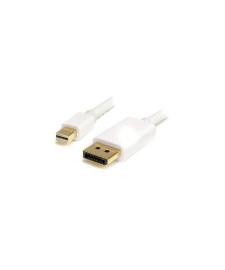 Cable StarTech MDP2DPMM2MW de 2 m - Mini DisplayPort 20 Pin a DisplayPort 20 Pin