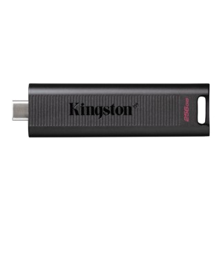 Memoria Usb Kingston DTMAX/256GB - USB 3.2 TYPE C - 256 GB