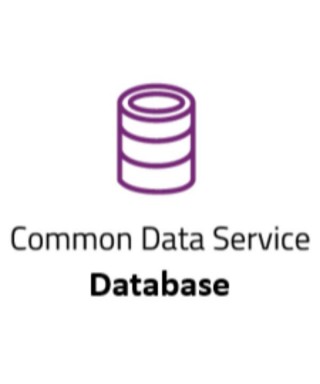 Common Data Service...