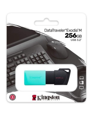 Memoria Usb Kingston DTXM/256GB - USB 3.2 - 256GB
