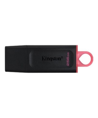Memoria Usb Kingston DTX/256GB - 256GB - USB3.2